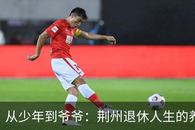 从少年到爷爷：荆州退休人生的养老金奇遇记