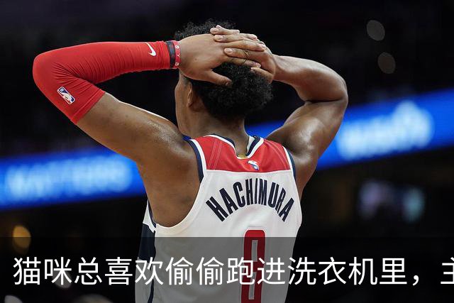 猫咪总喜欢偷偷跑进洗衣机里，主人当场给它个教训，猫：怕了怕了，我再也不敢了！